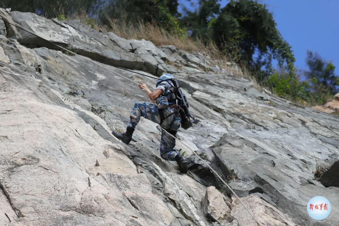 揭秘蛟龙突击队队标,象征力量与荣耀的标识,揭秘蛟龙突击队队标,力量与荣耀的象征标识