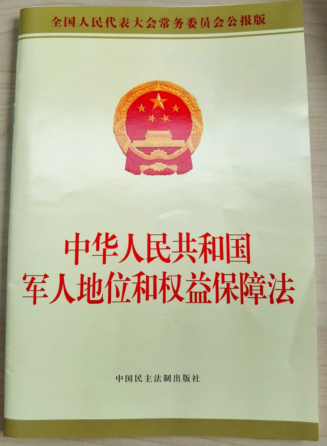 中华人民共和国禁毒法的实施及其深远影响，中华人民共和国禁毒法的实施及其深远影响的探究