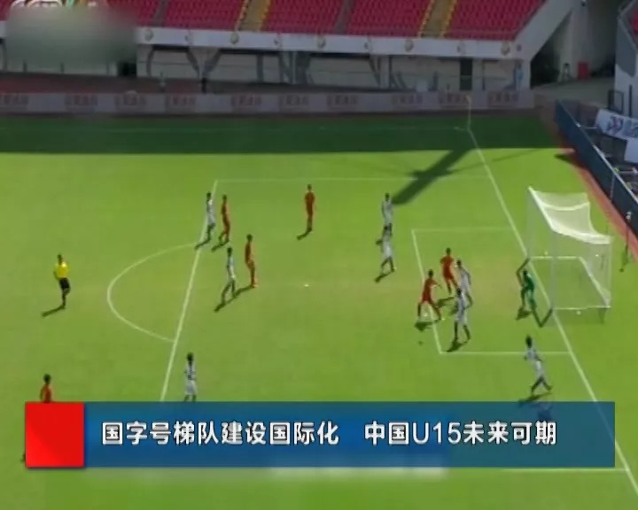 中国最新体育新闻,展现活力与进步的体育盛世,中国体育新闻速递,活力四溢的体育盛世展现新篇章