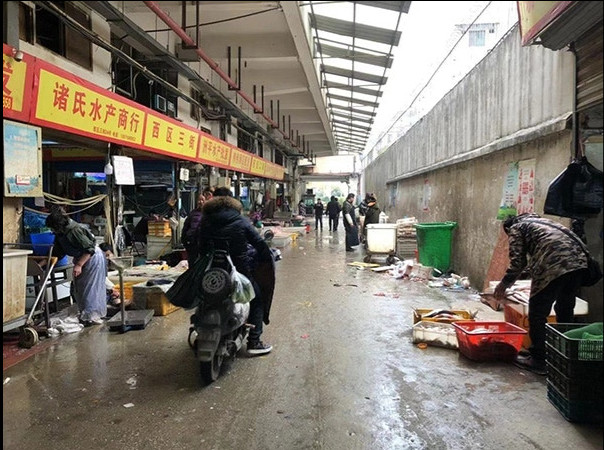 华南海鲜市场事件,探究背后的真相与挑战,华南海鲜市场事件真相探究与挑战