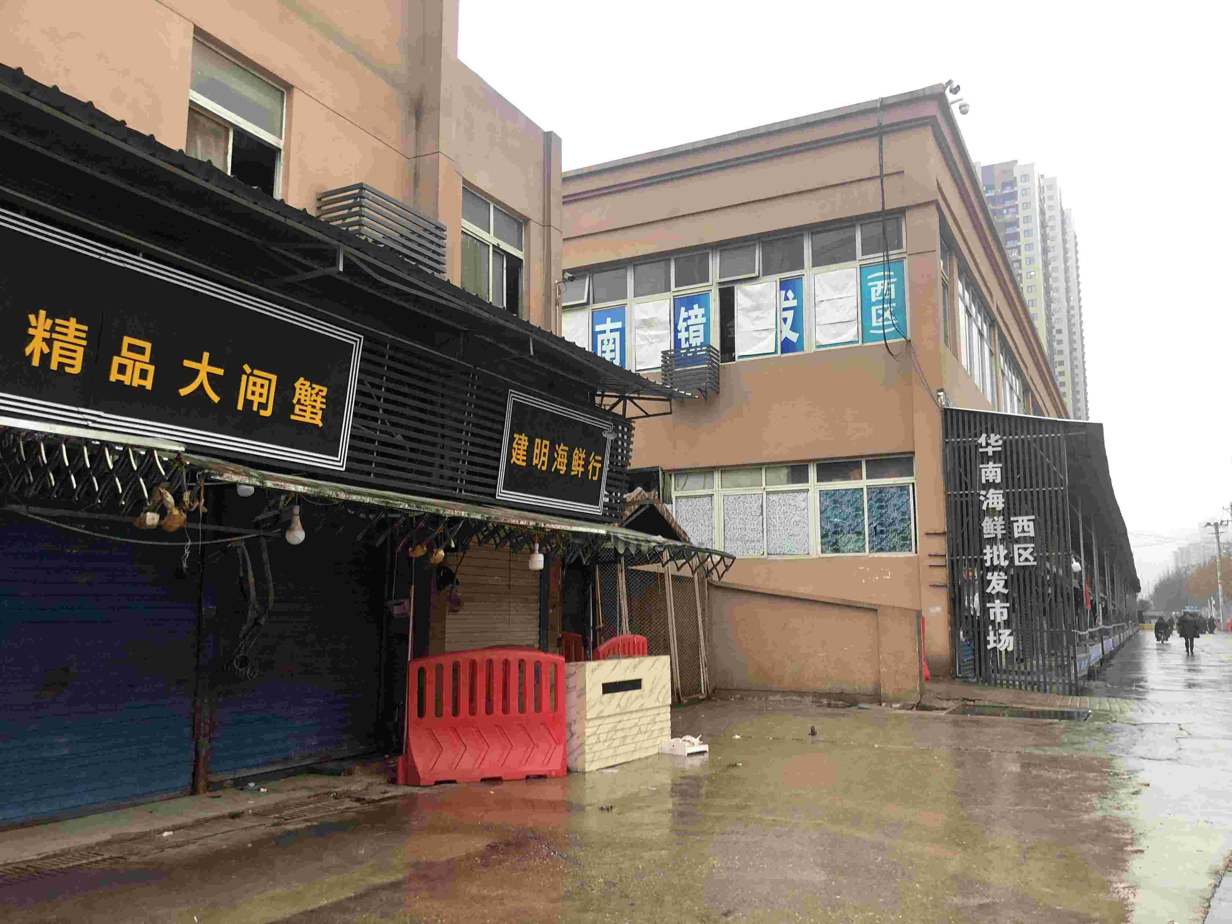 华南海鲜市场事件,探究背后的真相与挑战,华南海鲜市场事件真相探究与挑战