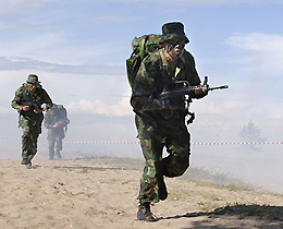 新浪网新闻与新浪军事,深度解读军事资讯的权威平台,新浪军事权威解读军事资讯,深度剖析军事动态的平台