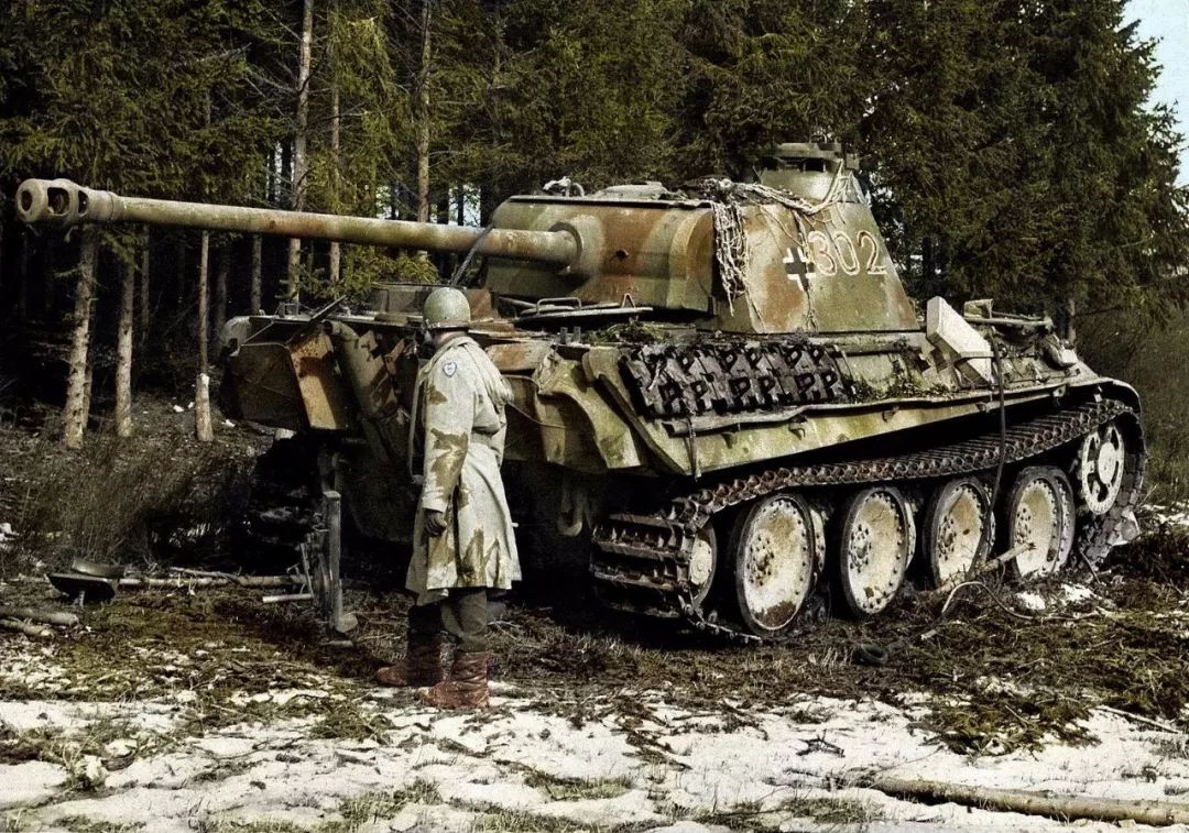 虎式坦克与豹式坦克,二战中的钢铁巨兽之比较,虎式与豹式坦克,二战钢铁巨兽对决揭秘