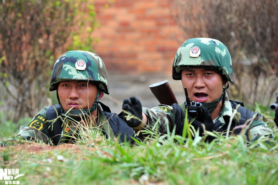 早期武警特战,荣耀与使命的交织,早期武警特战,荣耀与使命的辉煌历程