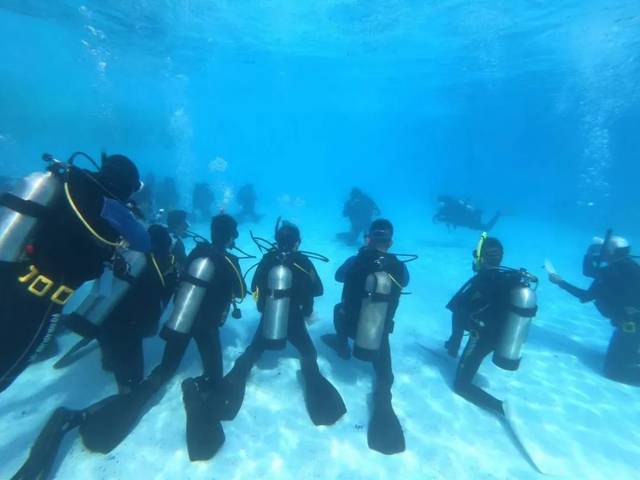 三亚潜二基地,揭秘一个神秘单位的真实面貌,三亚潜二基地揭秘,探索神秘单位的真实面貌