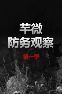 防务微观察,深度洞察与前瞻思考,防务微观察,深度洞察与前瞻思考摘要