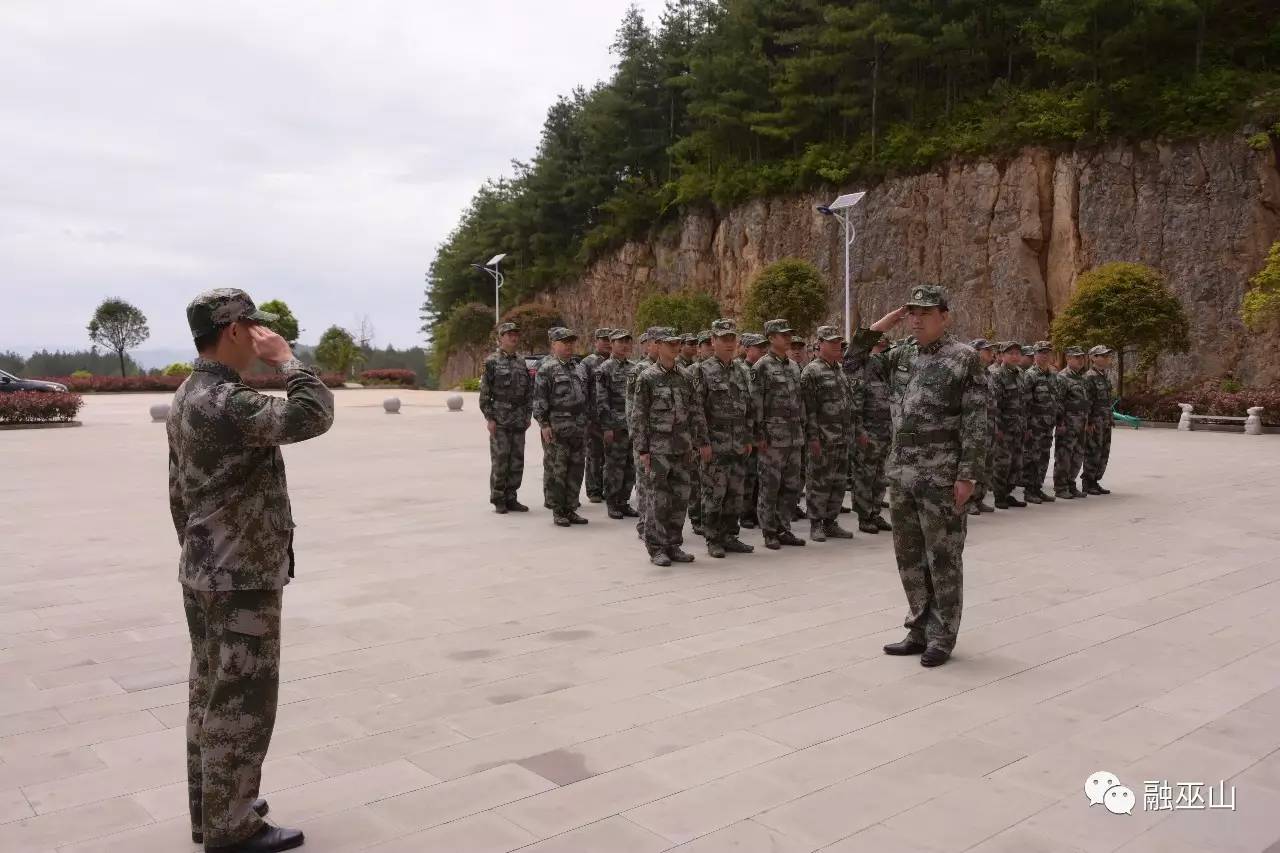 湛江部队驻扎概况,湛江部队驻扎概览