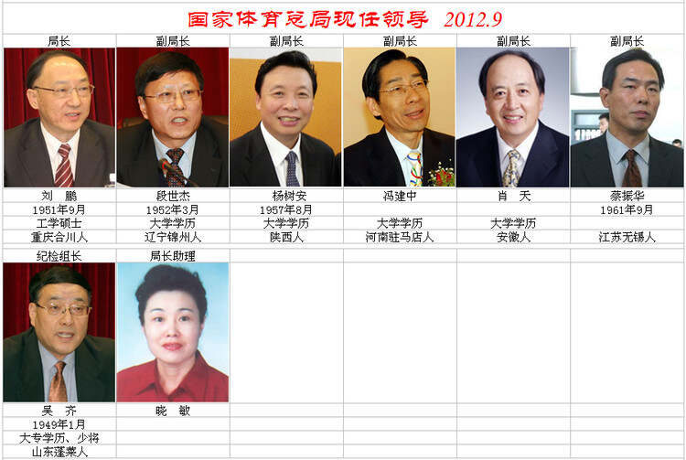 现任国务院副总概述,国务院现任副总理概述