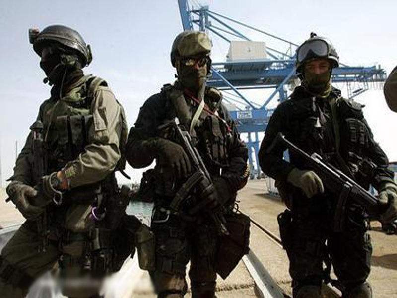 世界十大特种部队百科,世界十大特种部队全解析