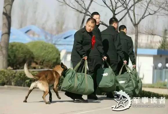 姜伟杨根思连，传承英雄精神的先锋连队，姜伟杨根思连，先锋连队传承英雄精神