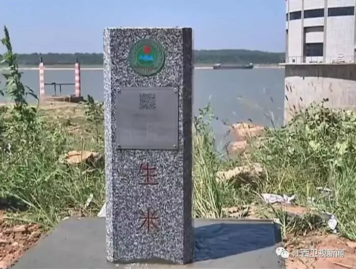 樊孝俊，一位引领时代的杰出人物，樊孝俊，时代引领者的杰出风采