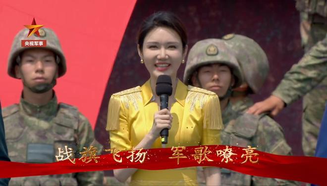 中央四军事节目嘉宾的独特视角与深度解读，中央四军事节目嘉宾的独特视角与深度解读，军事专家深度剖析军事话题