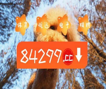 澳门天天免费精准大全——探索澳门资讯的宝藏,澳门资讯宝藏,天天免费精准大全探索