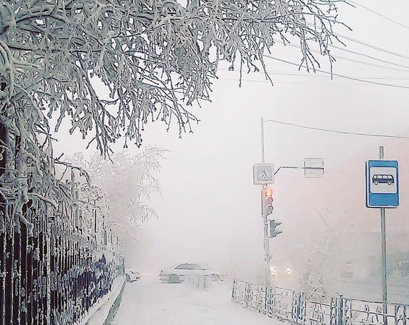 探索刘伯温一码一肖软件,神秘预测工具的魅力与挑战,刘伯温一码一肖软件,神秘预测工具的魅力和挑战探索