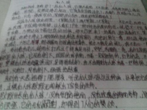 新闻摘抄与感受,时代的脉搏,新闻摘抄时代脉搏与个人感受分享