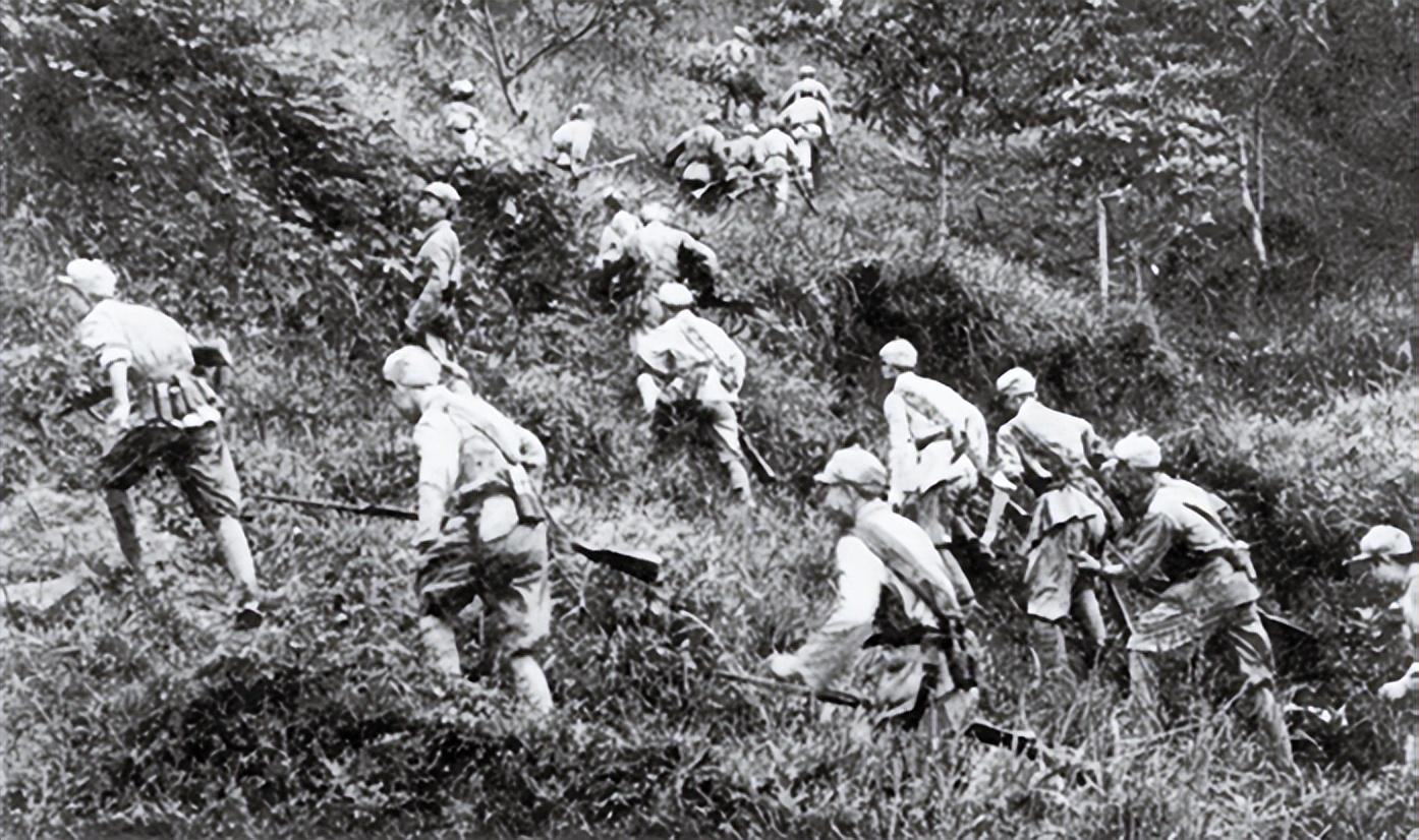 云南14军剿匪纪实,英勇无畏,正义终将伸张,云南14军剿匪英勇无畏,正义终将伸张纪实