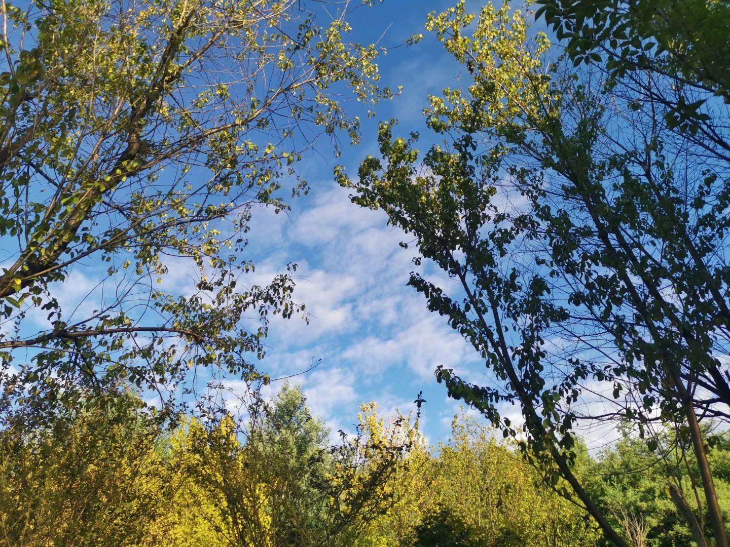 云南天气预报最新消息,未来15天的天气状况深度解析,云南未来15天天气预报深度解析,最新天气状况及趋势预测