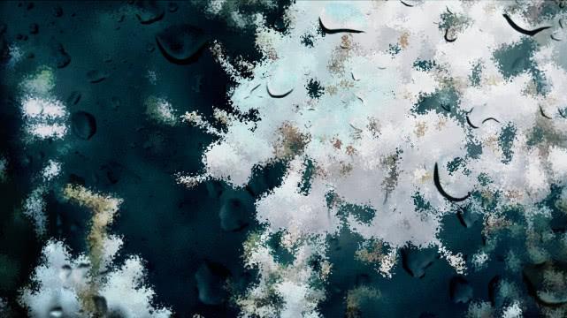 云南天气预报最新消息,未来15天的天气状况深度解析,云南未来15天天气预报深度解析,最新天气状况及趋势预测