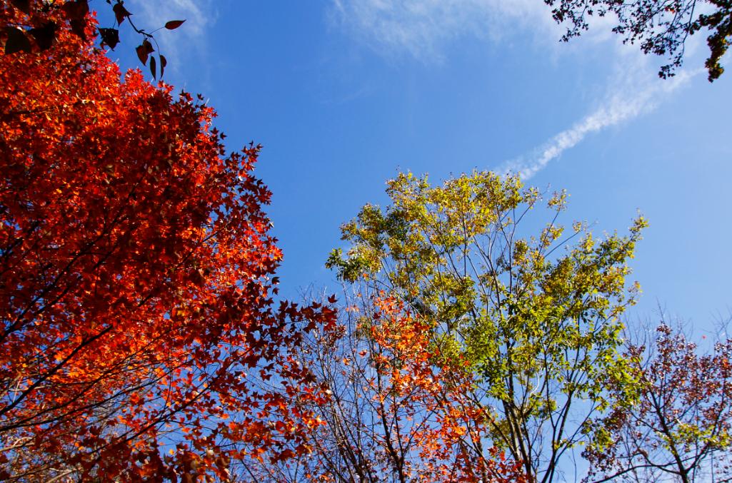 云南天气预报最新消息,未来15天的天气状况深度解析,云南未来15天天气预报深度解析,最新天气状况及趋势预测