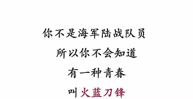 赞美海军的经典句子,海军荣耀,致敬海洋的守护者