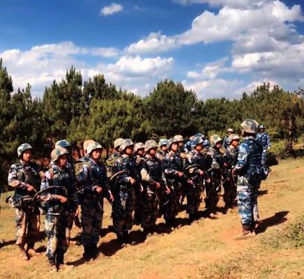 蛟龙系列,探索深海未知的力量之源,蛟龙系列,深海力量之源的探索