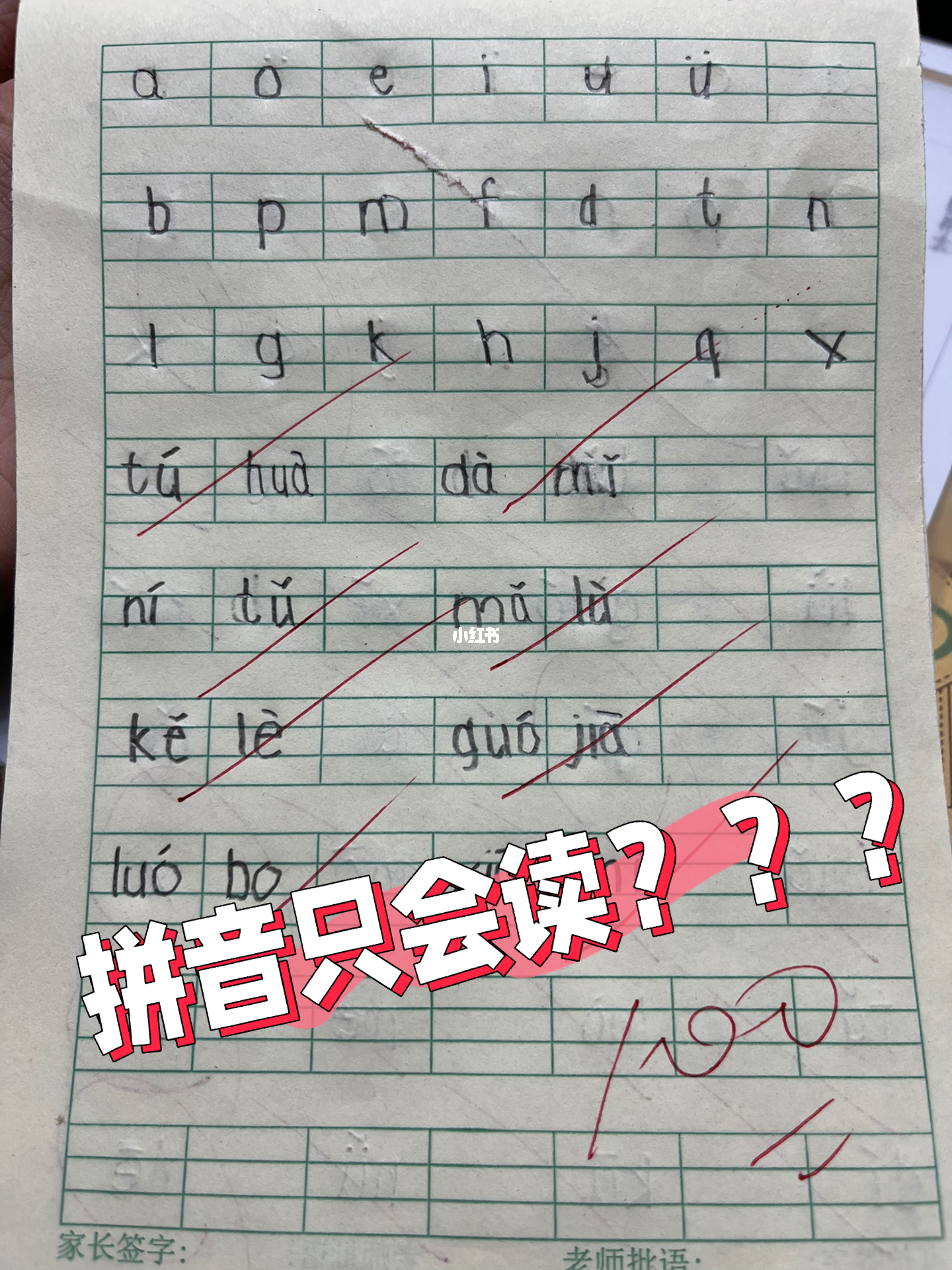 今天拼音的魅力与重要性,今天拼音的魅力与重要性解析