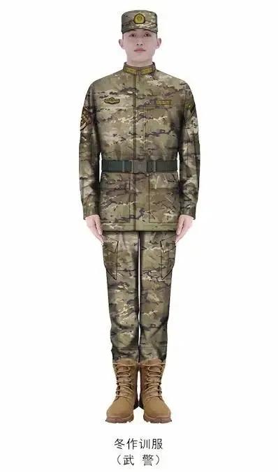 土色迷彩服背后的兵种之谜,土色迷彩服背后的兵种探秘