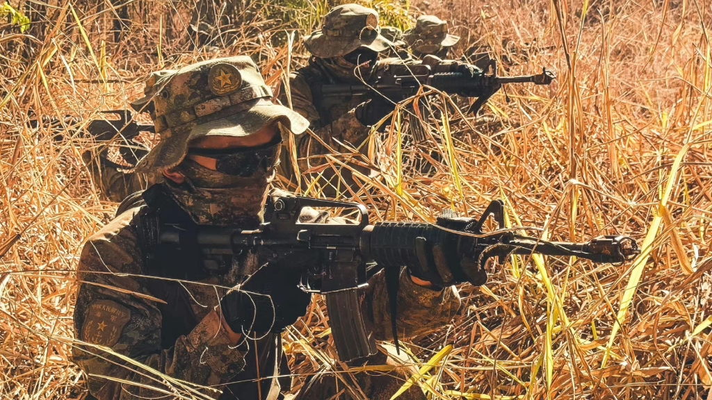 蛟龙突击队与狙击枪，现代战争中的精英力量，现代战争中的精英力量，蛟龙突击队与狙击枪的荣耀战斗