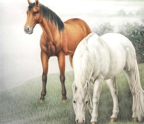 揭秘香港马会彩票开奖记录,探寻幸运之门背后的秘密(2023年),揭秘香港马会彩票开奖内幕,探寻幸运之门背后的秘密(最新2023年报道)