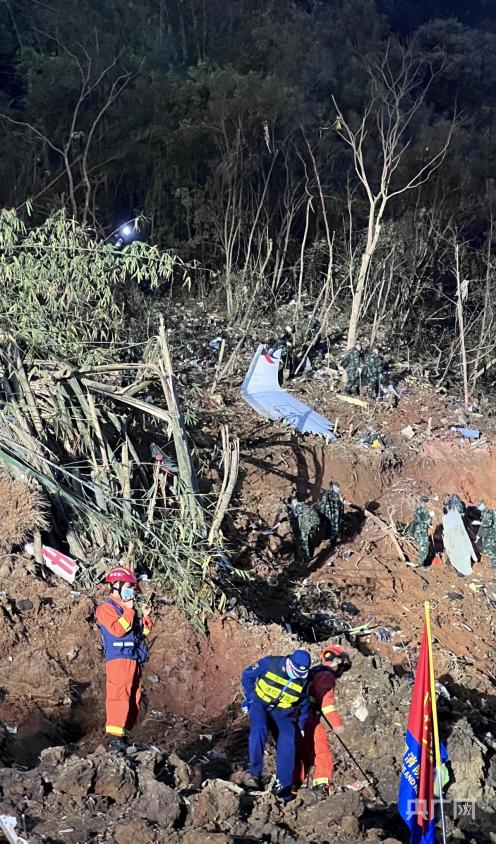 东航客机坠毁事件深度解析,东航客机坠毁事件深度剖析