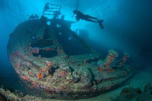 二战时期美军装备概览,二战时期美军装备概览与解析