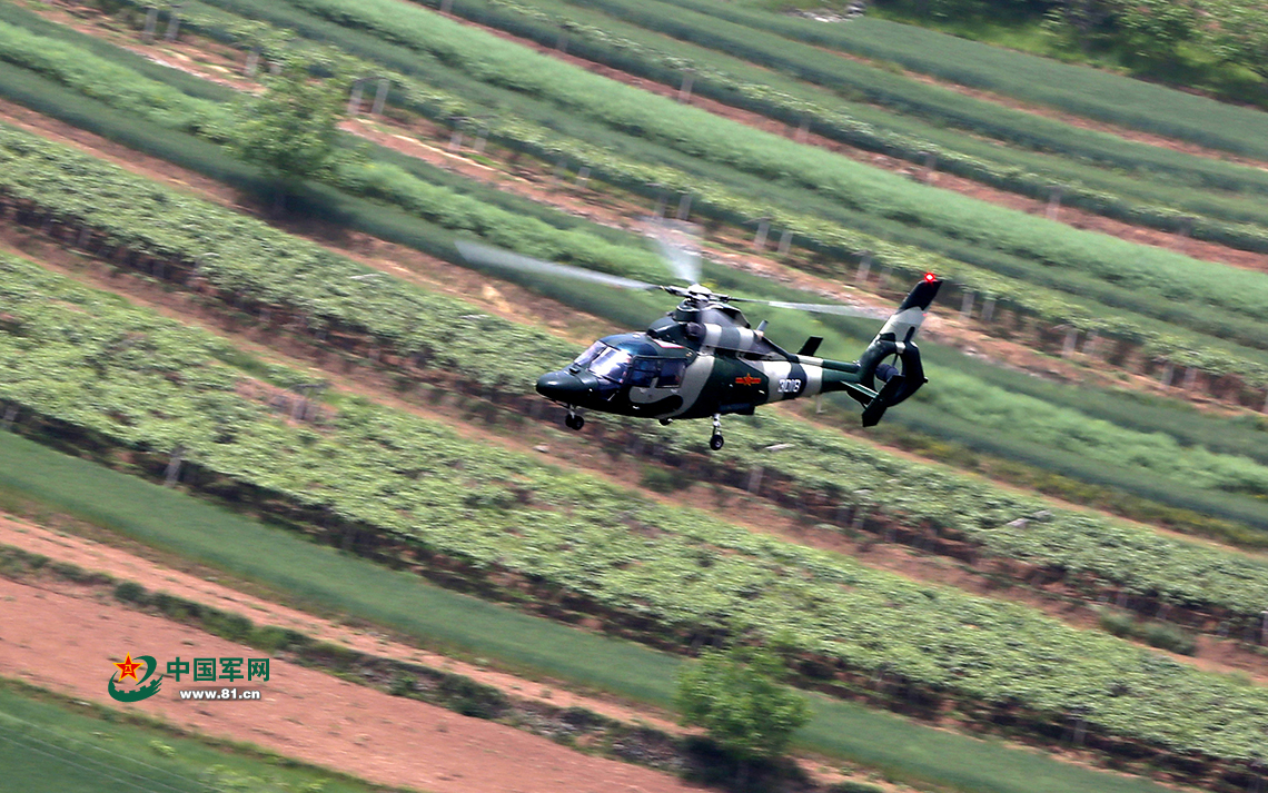 直升机训练视频,探索空中领域的必备资源,直升机训练视频,探索空中领域的必备指南