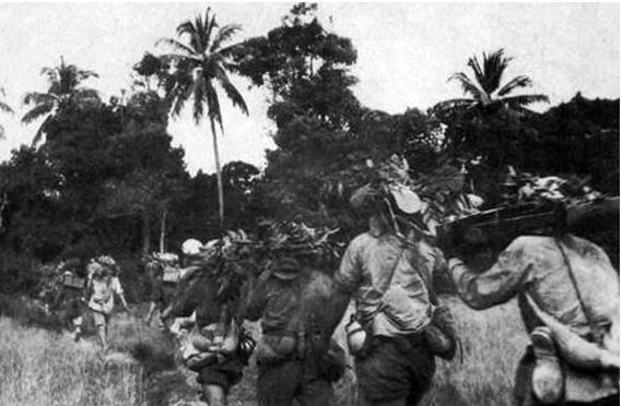 海南岛登陆战役图片,历史的瞬间与永恒的记忆,海南岛战役图片,历史的瞬间与永恒记忆