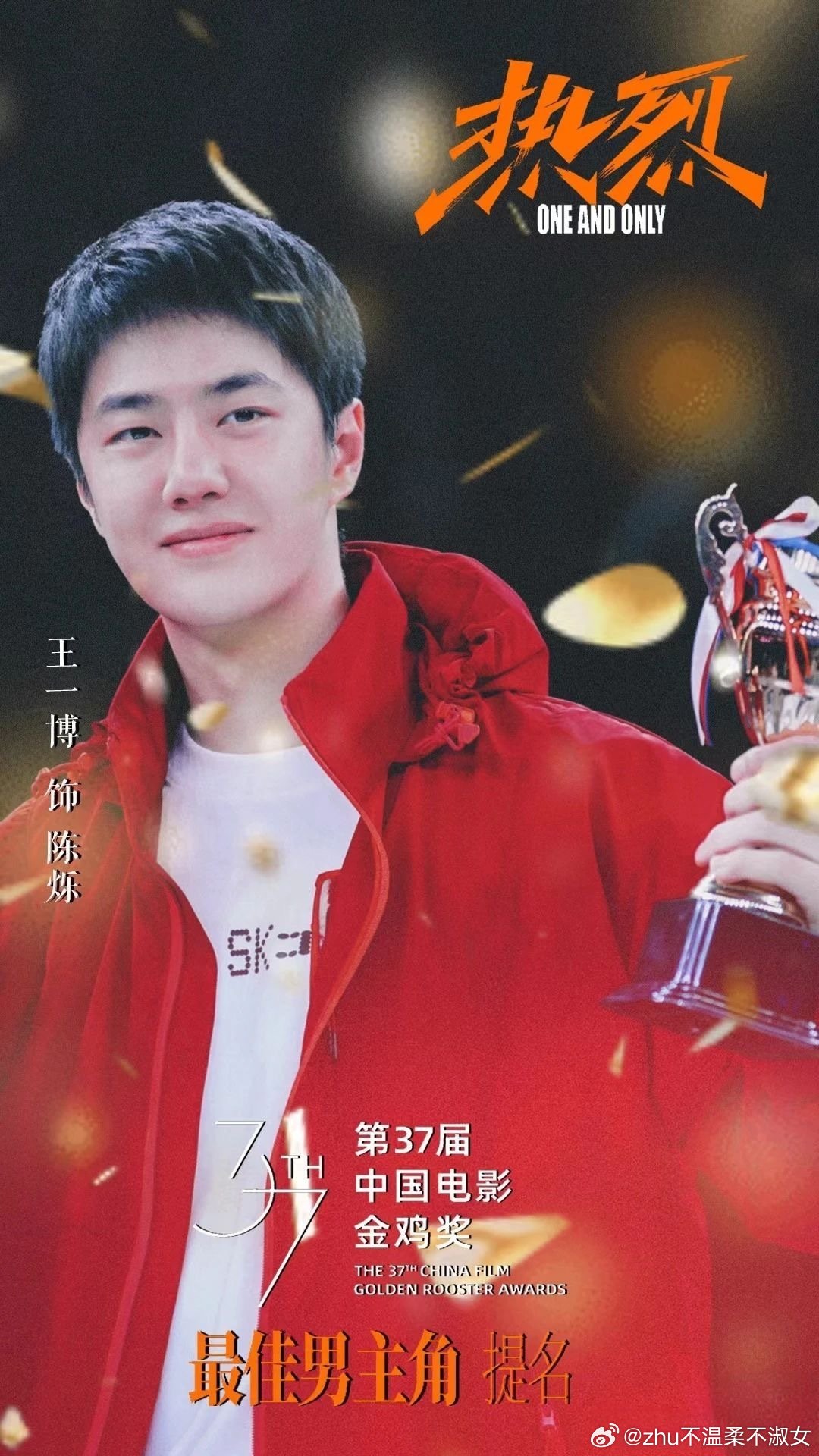 王中王一肖一中特,探索卓越之路,王中王一肖一中特,卓越之路的探索