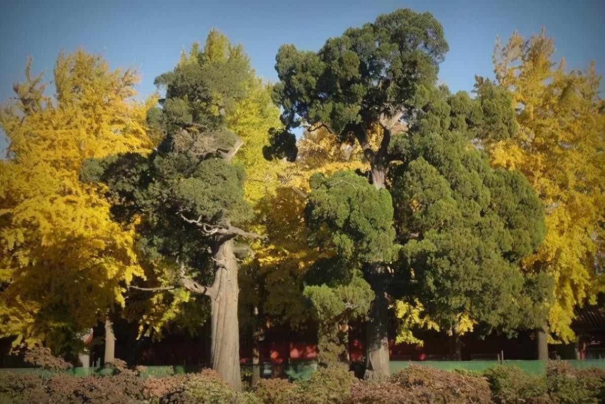 中国最能打仗的十大将军排名,中国十大最能打仗的将军排名