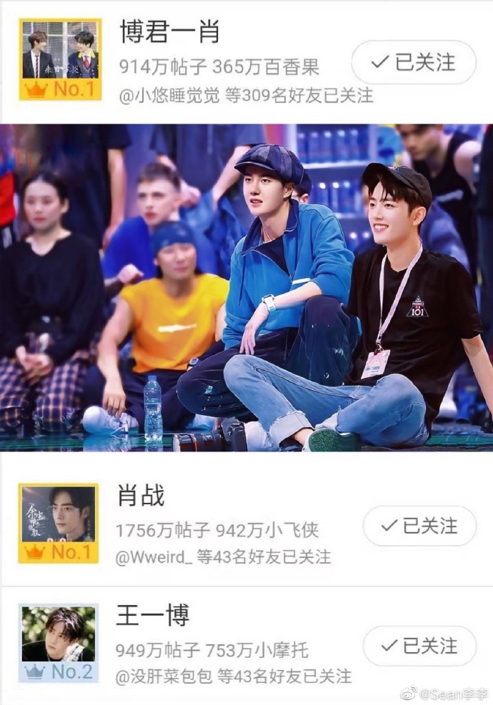 王中王一肖资料中特肖,深度探究与解析,王中王一肖资料深度解析,探寻特肖的秘密