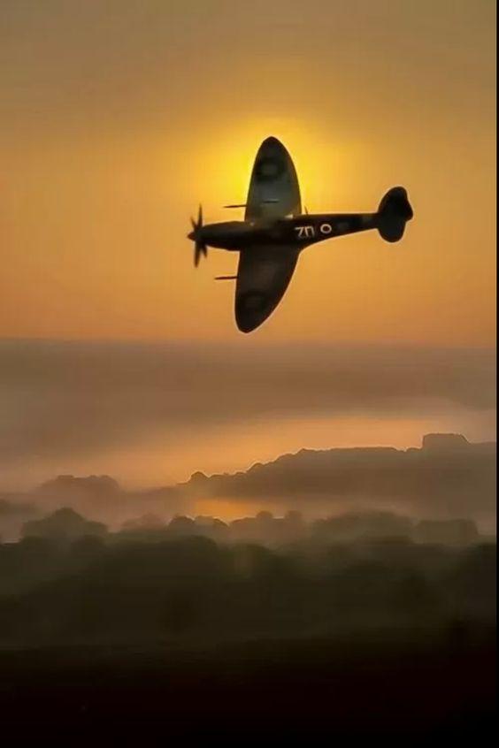 各国各型号战斗机图解,全球战斗机型号图解概览