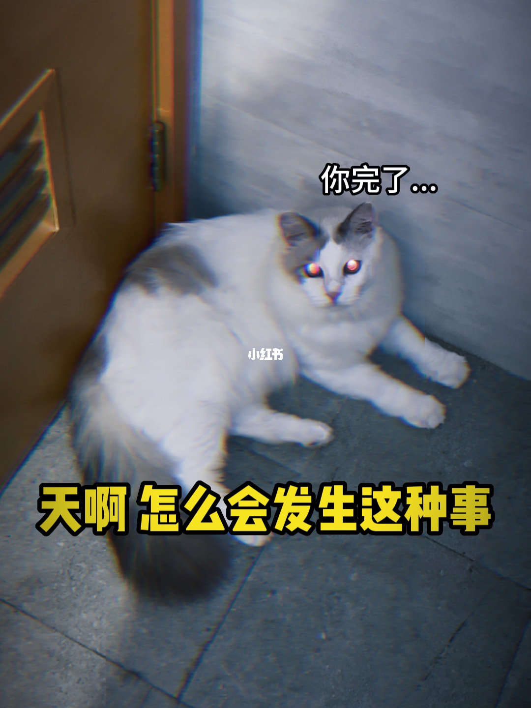 今天发生的事情,一场意料之外的转变,今日意外之变