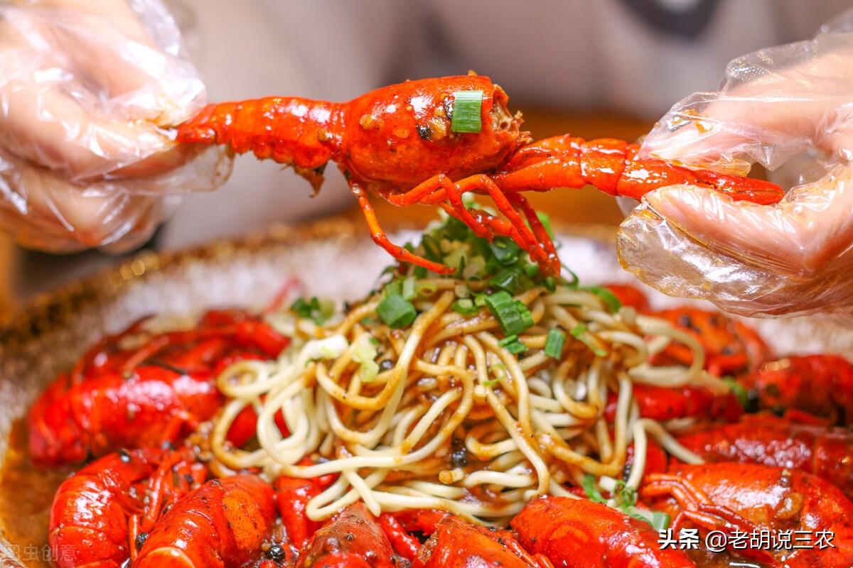 万吨大驱无锡舰最新训练现场,展现强大实力与崭新面貌,万吨大驱无锡舰最新训练现场,展现强悍实力与全新面貌