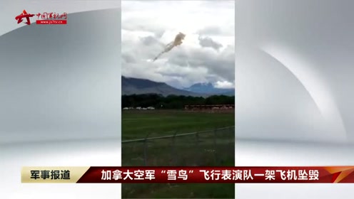 简约军视网,探索军事信息的简洁之道,简约军视网,探索军事信息的简洁呈现之道