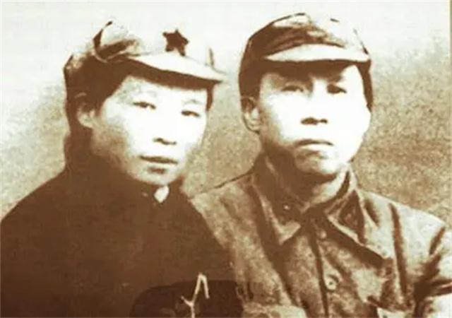 新手机如何下载网易将军令——全面指南,新手机下载网易将军令,全面指南