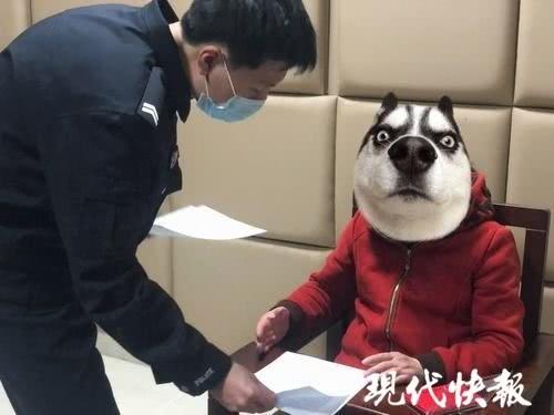 寻找附近单身女性的故事，在真实与虚拟之间的微妙缘分，真实与虚拟间的微妙缘分，寻找附近单身女性的故事