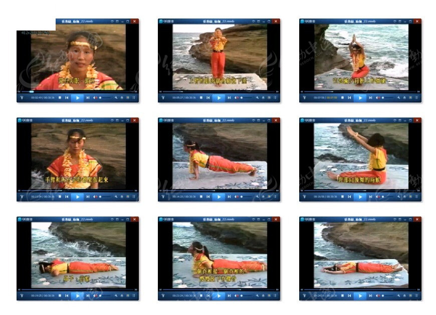 蕙兰瑜伽视频教程下载，探索瑜伽世界的入门指南，蕙兰瑜伽视频教程下载，瑜伽入门者的终极指南