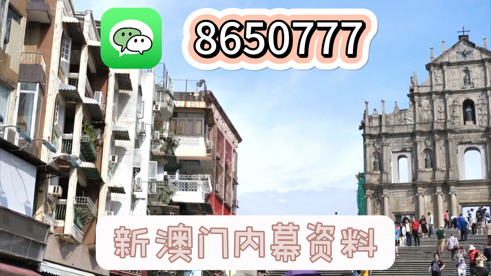 新澳门一肖一码中恃马，探索与解读，澳门一肖一码中恃马，探索与解读