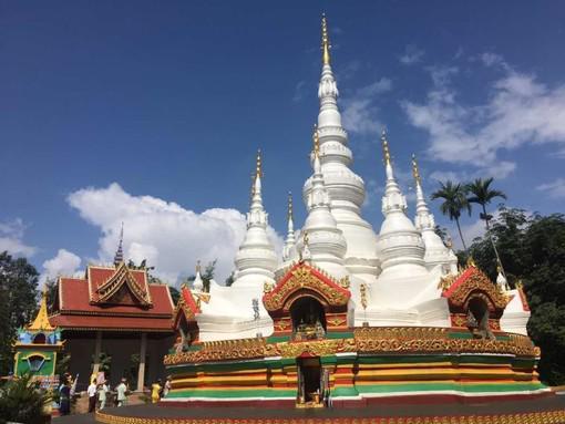西双版纳游玩推荐——热带雨林的魅力之旅,西双版纳热带雨林探险之旅,深度游玩推荐