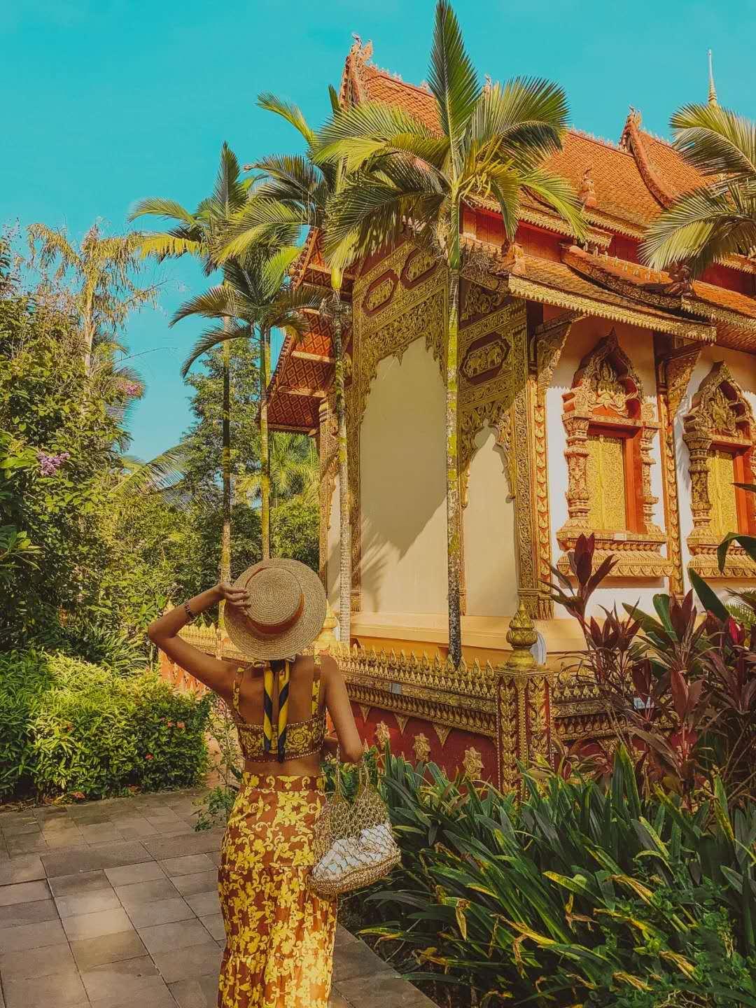 西双版纳游玩推荐——热带雨林的魅力之旅,西双版纳热带雨林探险之旅,深度游玩推荐