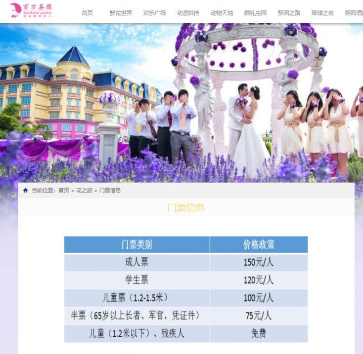 百万葵园门票价格及最新动态,百万葵园门票价格及最新动态信息概览