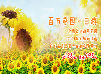 百万葵园门票价格及最新动态,百万葵园门票价格及最新动态信息概览