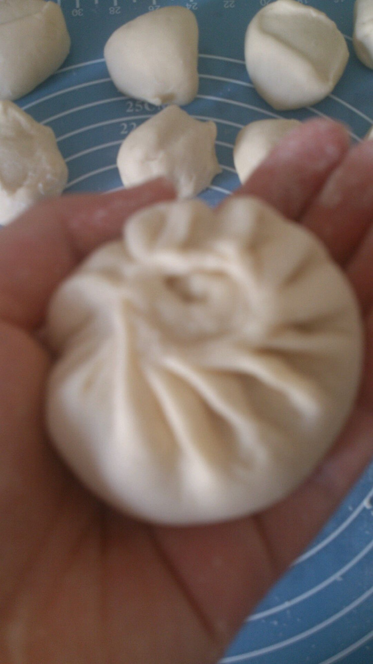 新手学做包子,从入门到精通的烹饪之旅,新手学做包子,入门到精通的烹饪之旅