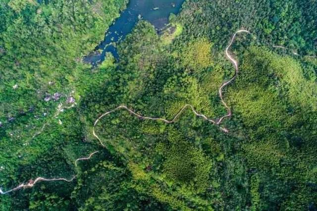 新澳门彩出号综合走势分析,澳门彩票出号走势综合解析